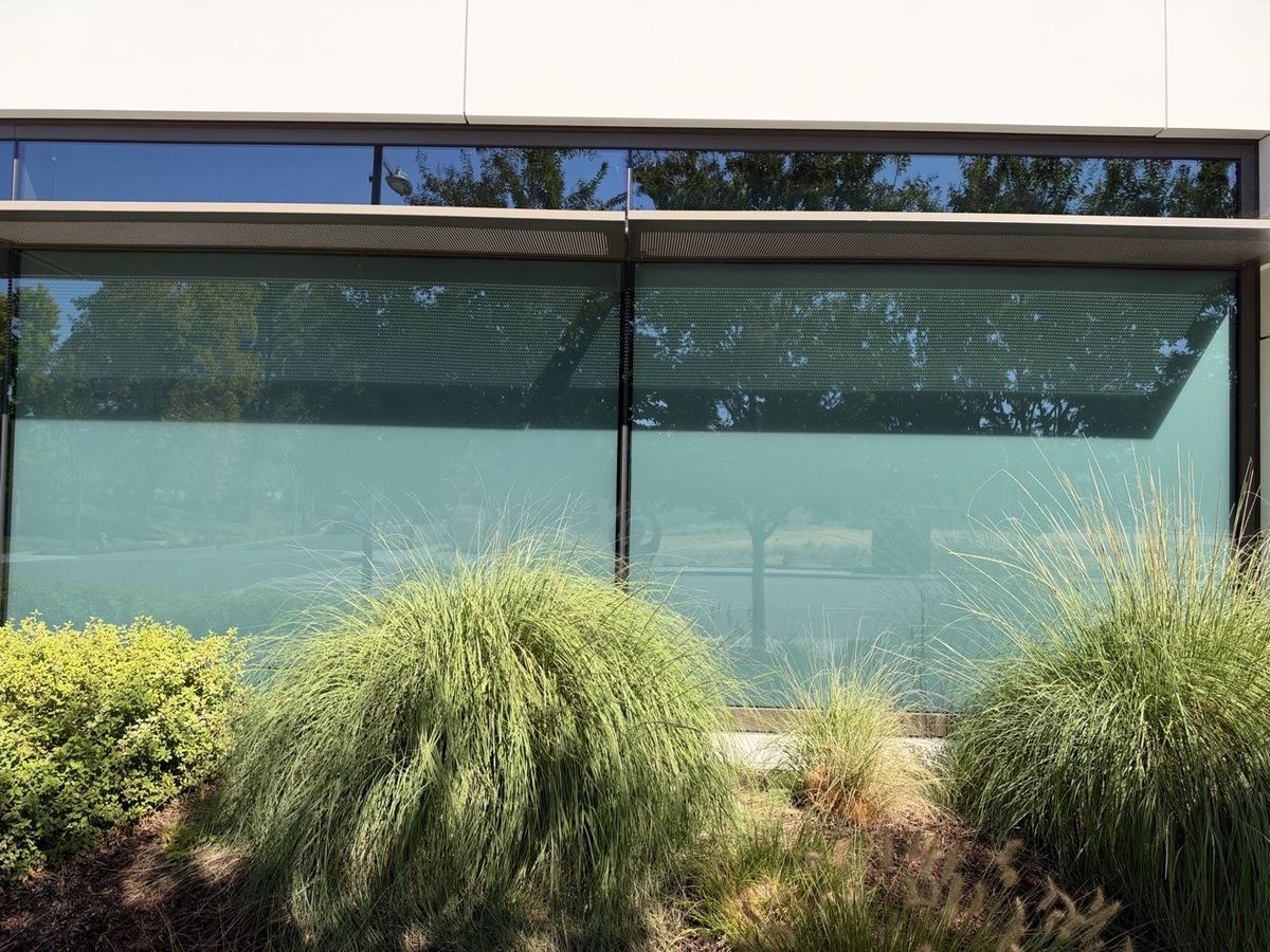 Office window wall in Palo Alto with frosted privacy film